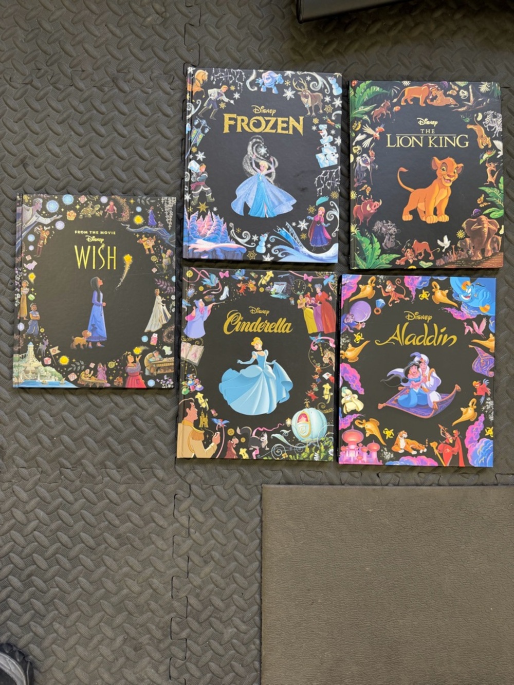 Disney Book Bundle- Wish, Cinderella, Aladdin, Frozen, The Lion King